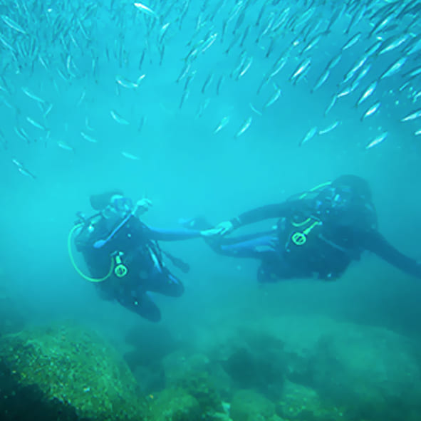 Buceo en Loreto